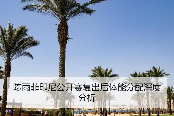 陈雨菲印尼公开赛复出后体能分配深度分析